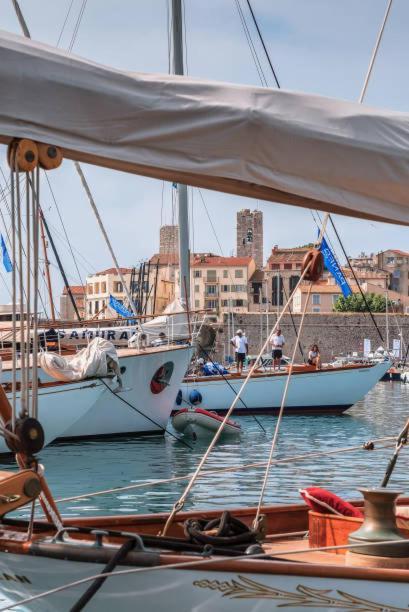 Cosy Migrainier - Vieil Antibes Apartman Kültér fotó